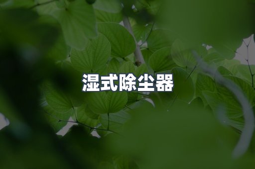 脉冲布袋除尘器