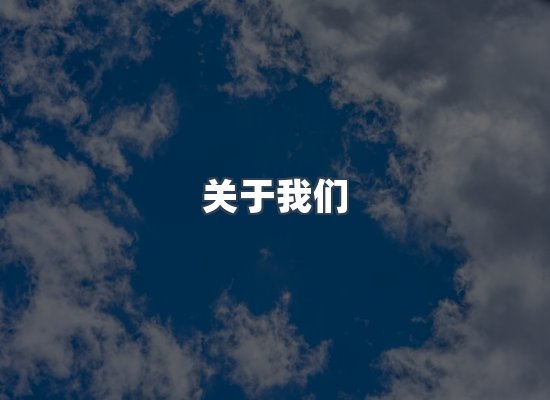专业团队